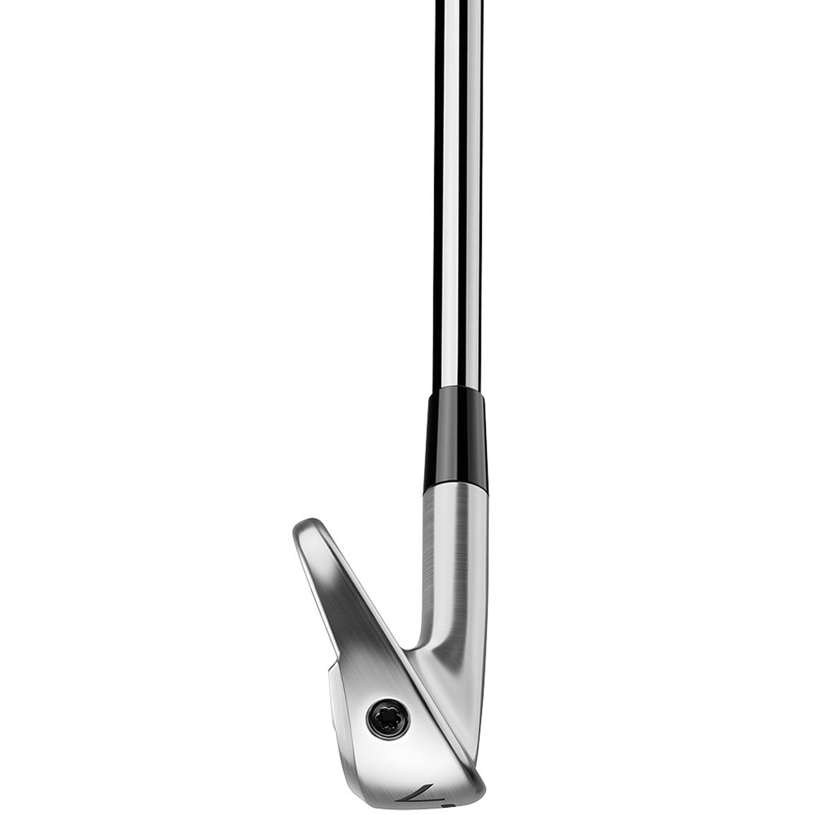 TaylorMade P770 Iron Set